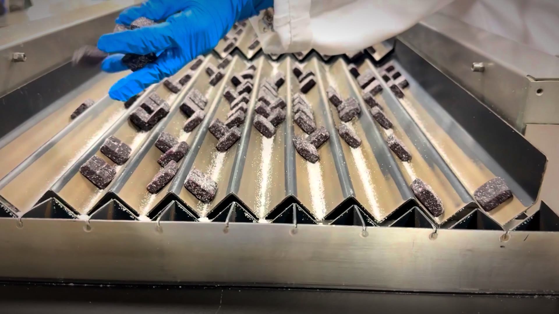 Operator inspecting gummies on the conveyor